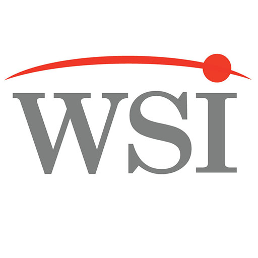 WSI WSI